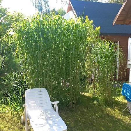 Orman Evi La Osada *